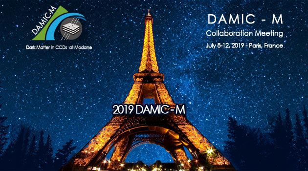 Picture: 2019 DAMIC-M: DAMIC-M collaboration meeting